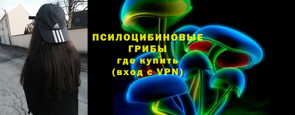 винт Армянск