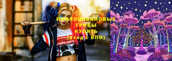 спайс Аркадак