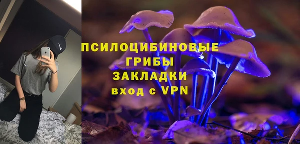 винт Армянск